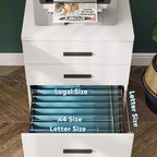 DEXYLLO Meuble Classeur à 3 Tiroirs pour Bureau à Domicile, Caisson de Classement en Bois Sous Bureau, Support d'Imprimante Roulant avec Roues