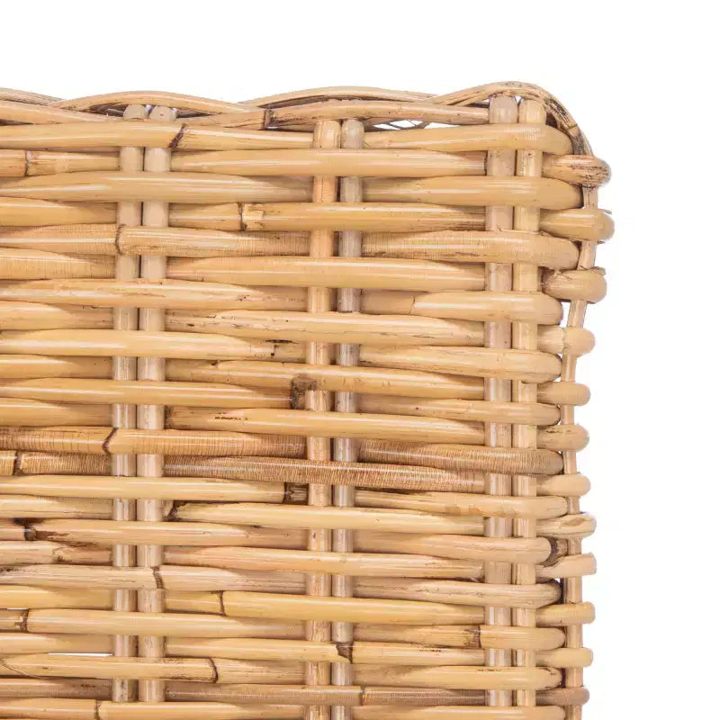 Fauteuil Nancy Rattan avec coussin – ACH6518 – Safavieh