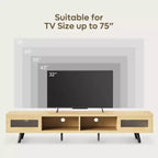 Meuble TV moderne bas Bestier 70 pouces avec LED et rangements pour salon