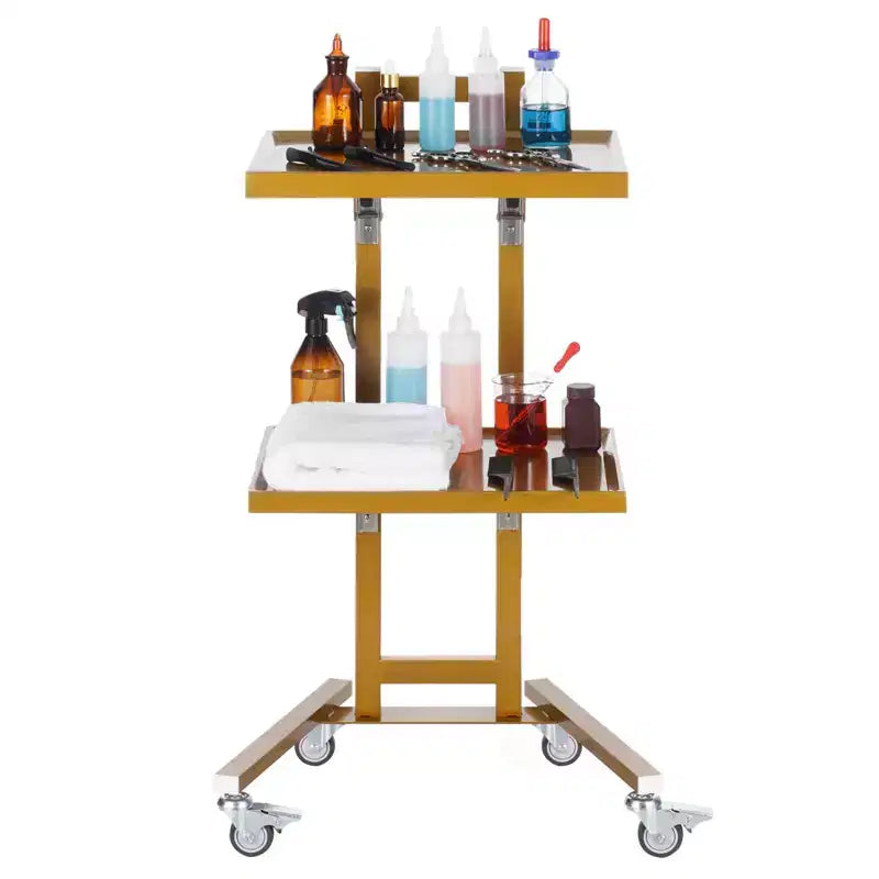 VEVOR 2 Tiers Stainless Steel Lab Carts, Lab Utility Cart with 2 Trays, Mobile Medical Cart with 4 Silent Wheels, Lab Rolling Cart
