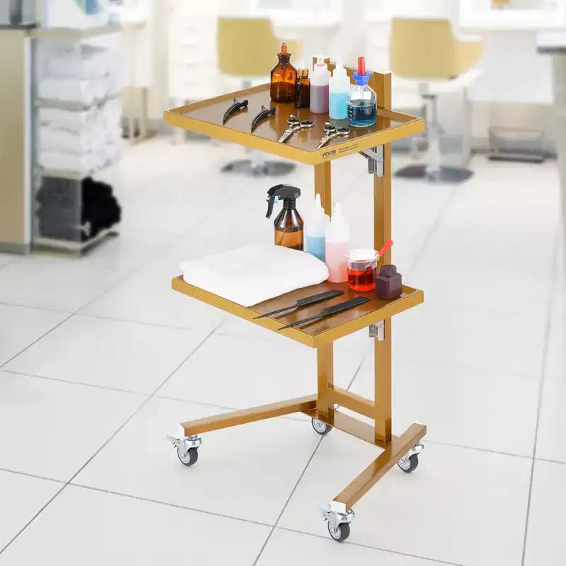 Chariots de laboratoire VEVOR à 2 niveaux en acier inoxydable, chariot utilitaire de laboratoire avec 2 plateaux, chariot médical mobile avec 4 roulettes silencieuses, chariot de laboratoire roulant