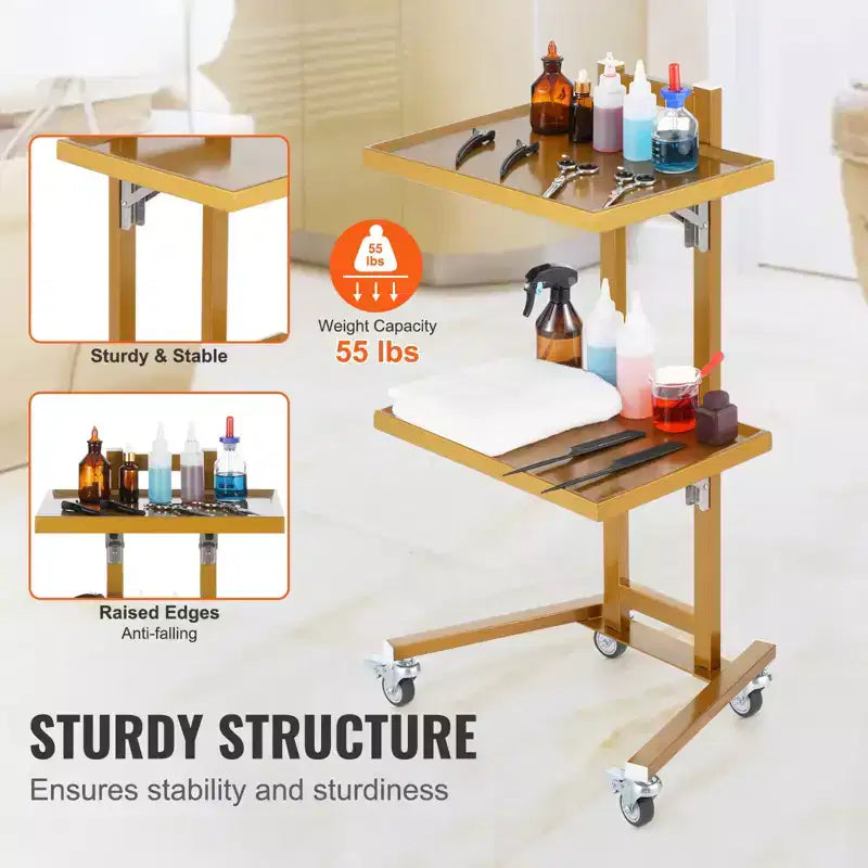 Chariots de laboratoire VEVOR à 2 niveaux en acier inoxydable, chariot utilitaire de laboratoire avec 2 plateaux, chariot médical mobile avec 4 roulettes silencieuses, chariot de laboratoire roulant