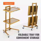 Chariots de laboratoire VEVOR à 2 niveaux en acier inoxydable, chariot utilitaire de laboratoire avec 2 plateaux, chariot médical mobile avec 4 roulettes silencieuses, chariot de laboratoire roulant