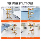 Chariots de laboratoire VEVOR à 2 niveaux en acier inoxydable, chariot utilitaire de laboratoire avec 2 plateaux, chariot médical mobile avec 4 roulettes silencieuses, chariot de laboratoire roulant