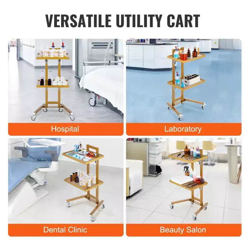 Chariots de laboratoire VEVOR à 2 niveaux en acier inoxydable, chariot utilitaire de laboratoire avec 2 plateaux, chariot médical mobile avec 4 roulettes silencieuses, chariot de laboratoire roulant