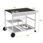 Chariot de barbecue Karl Home à 4 roues, plateau en acier inoxydable avec plateau à épices, couleur argent