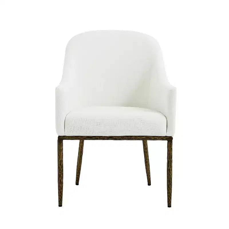 Christopher Knight Home Ekasit - Fauteuil d'appoint moderne en fer rembourré avec pieds en métal forgé couleur étain