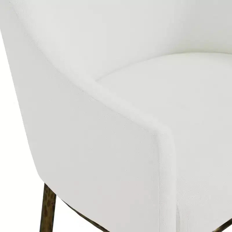 Christopher Knight Home Ekasit - Fauteuil d'appoint moderne en fer rembourré avec pieds en métal forgé couleur étain