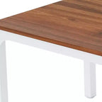 HomeRoots Table de salle à manger 46 en bois et fer marron et blanc