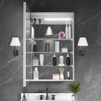FAMYYT Armoire à pharmacie lumineuse en aluminium de 24 po L x 36 po H avec miroir, intensité variable, anti-buée, entièrement assemblée