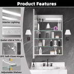 FAMYYT Armoire à pharmacie lumineuse en aluminium de 24 po L x 36 po H avec miroir, intensité variable, anti-buée, entièrement assemblée