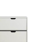 Meuble de rangement décoratif Ratana de 47 po : Design moderne, bois composite – Acme Furniture