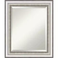 Salon Framed Bathroom Vanity Wall Mirror Silver - Amanti Art