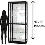 Howard Miller 680572 Jayden Iii Vitrine d'exposition 680572 Noir brillant