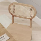 Lot de 2 chaises de salle à manger Merrick Lane en rotin avec structure en bois massif