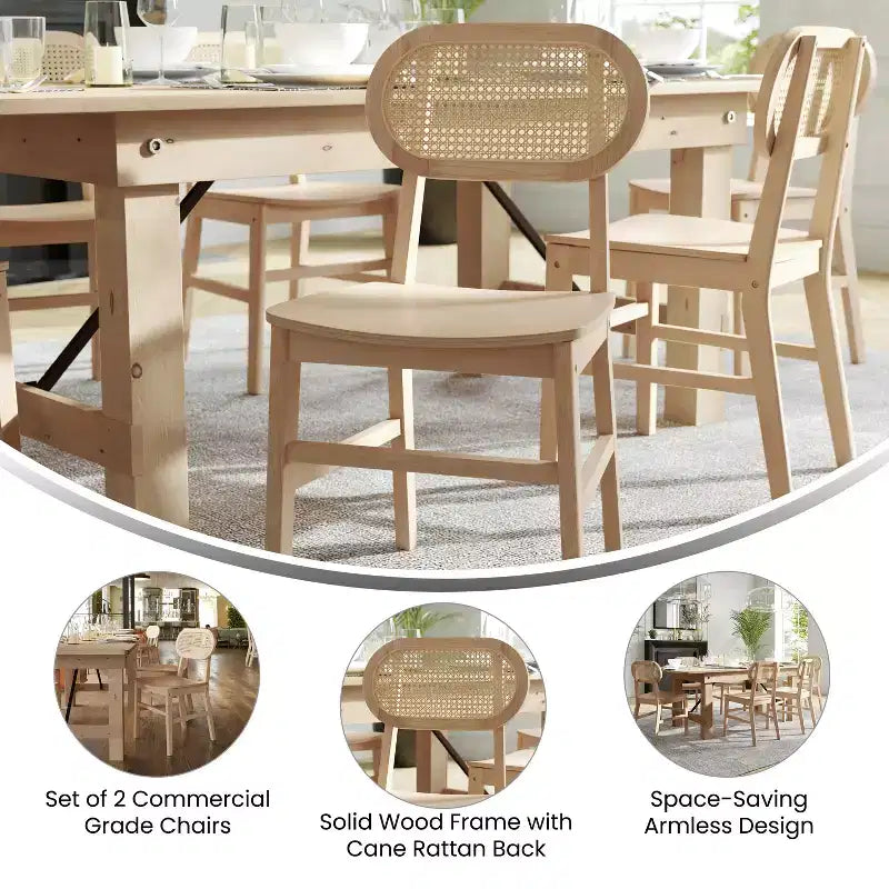 Lot de 2 chaises de salle à manger Merrick Lane en rotin avec structure en bois massif