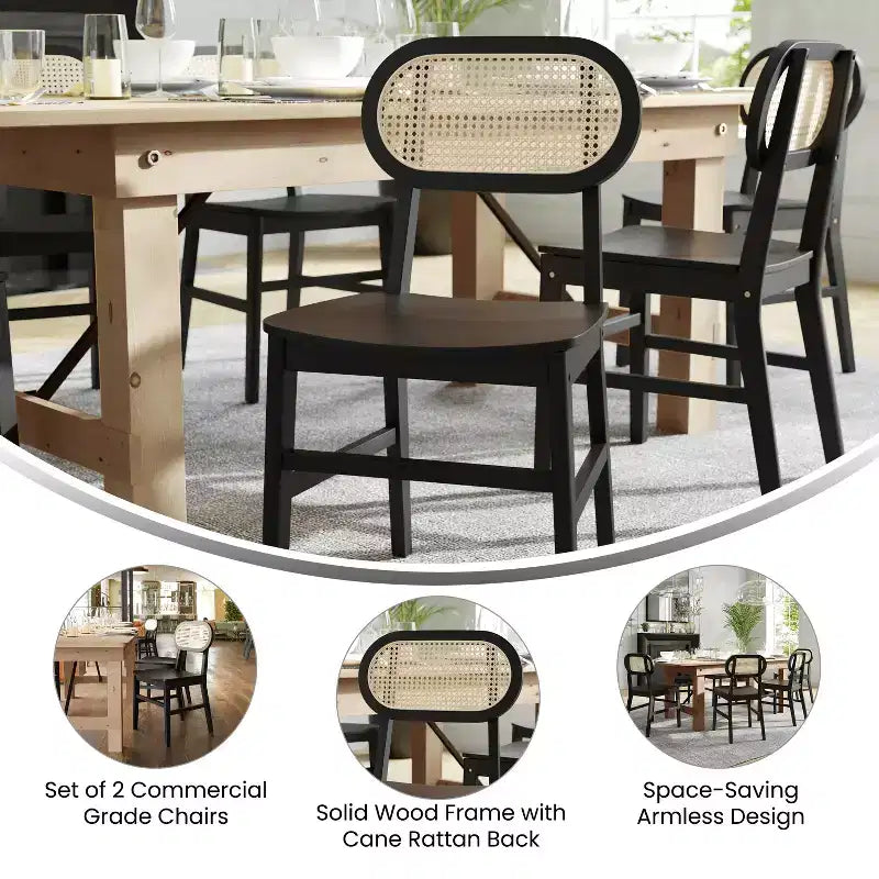 Lot de 2 chaises de salle à manger Merrick Lane en rotin avec structure en bois massif