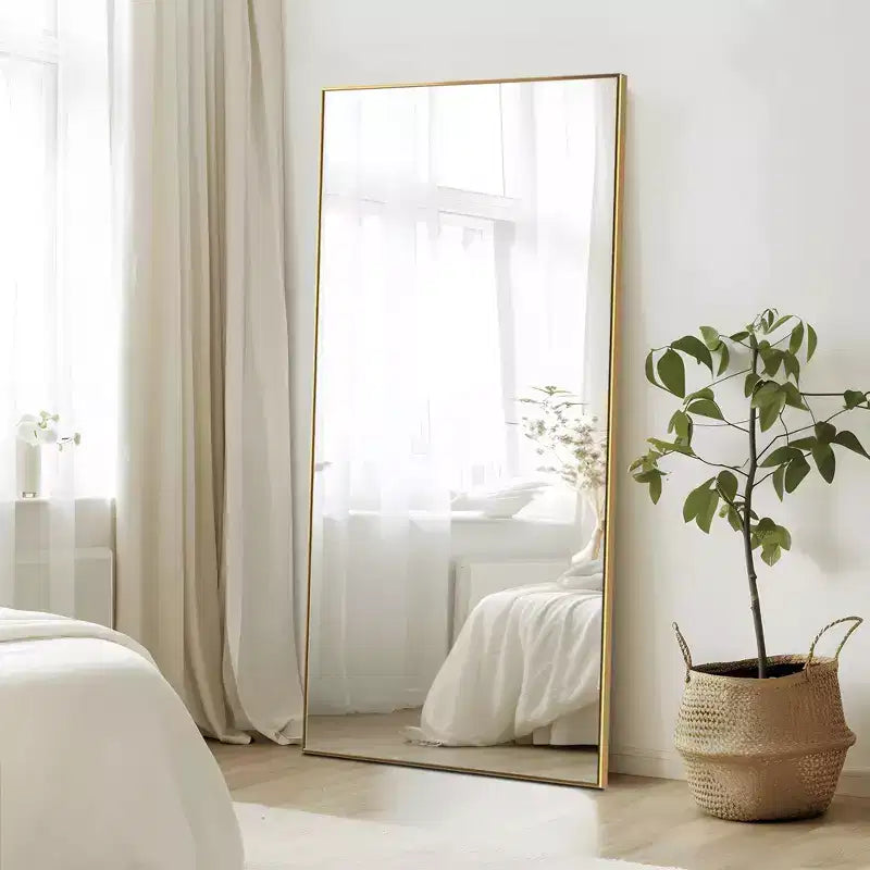 Dovelina Miroir sur pied rectangulaire avec cadre en métal, miroir de sol, miroir mural