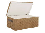 Ashban Trunk - SEA7036 - Naturel - Safavieh