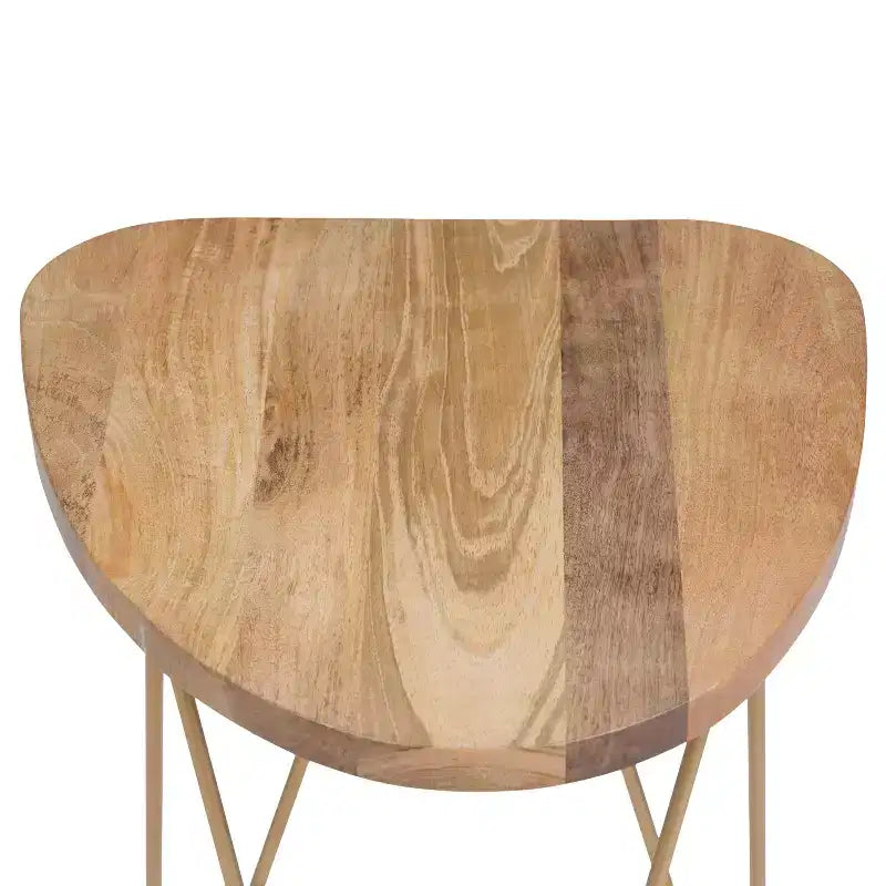 Table d'appoint Tillman en métal et bois